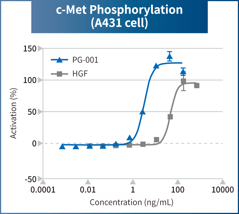 c-Met phosphorylation (A431 cell)