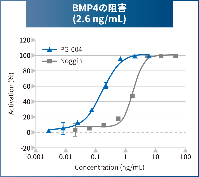 BMP4の阻害 (2.6 ng/mL)