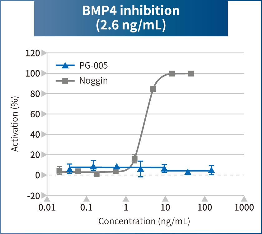 BMP4 inhibition (2.6 ng/mL)