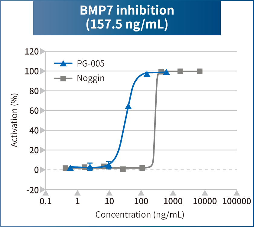 BMP7 inhibition (157.5 ng/mL)