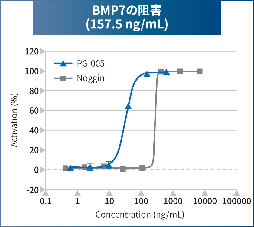 BMP7の阻害 (157.5 ng/mL)