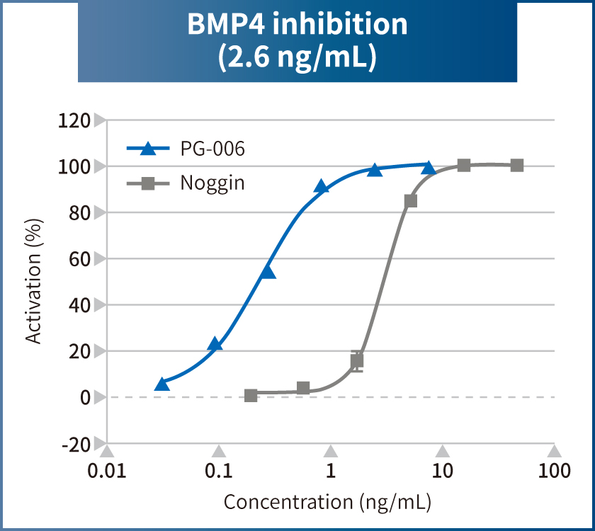 BMP4 inhibition (2.6 ng/mL)