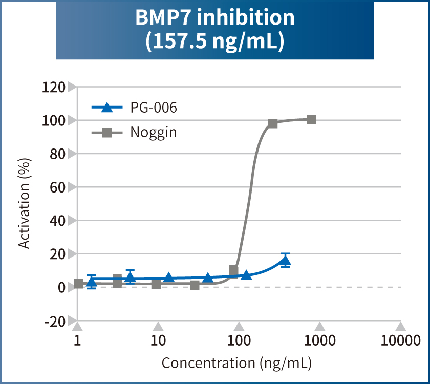 BMP7 inhibition (157.5 ng/mL)