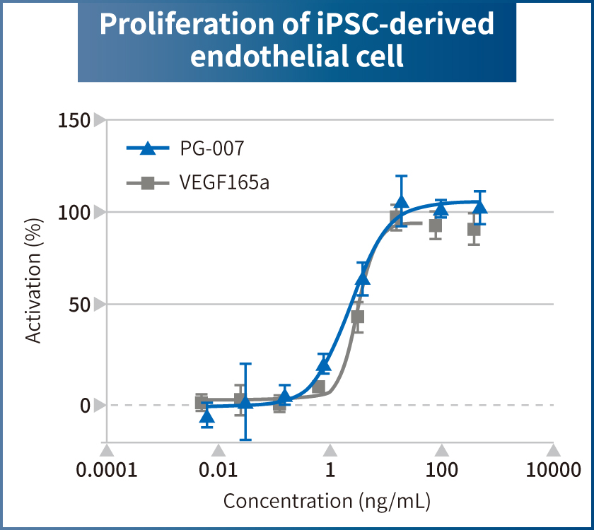 Proliferation of iPSC-derived endothelial cell